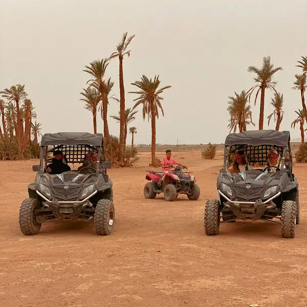 Marrakech Buggy Palm Grove